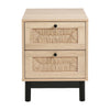 Two-Drawer Rattan Door Bedside Table Home Cabinet Bedroom Storage Black Frame UK