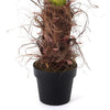 180cm 6ft Artificial Palm Tree Indoor Outdoor Fake Plants Faux Green Garden Tree