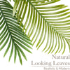 Artificial Areca Palm Tree Natural Looking Faux Plant in Pot 2ft 3ft 4ft 5ft 6ft