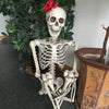 165cm Halloween Skeleton Life Size Prop Poseable Human Giant Bones Decor Model