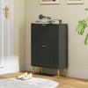 Slim Shoe Storage Cabinet with 2 Flip Drawers for Hallway, Black