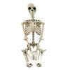 Halloween Poseable Skeleton Full Life Size Human Skeleton Decoration Prop