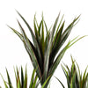 Artificial Palm Tree Realistic UV Resistant Outdoor Black 105cm (3ft) Premium UK