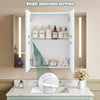 Double Door LED Bathroom Mirror Cabinet Cupboard With Side Shelves Wall Mounted