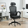 Mesh Ergonomic Office Chair with Lumbar Support, Headrest, Black
