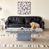 Elgin Extending Glass Top Gloss Coffee To Dining Table In Grey