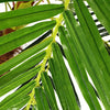 6FT Large Artificial Palm Tree Potted Plant Realistic Garden Outdoor Home Decor