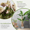 5.4 FT Tall Artificial Banana Tree Fake Banana Tree Indoor Office Decor