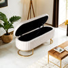 Teddy Velvet Upholstered Bench Bed End Window Seat Ottoman Storage Stool Bedroom