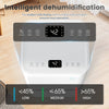 14L Dehumidifier For Mould Moisture Extraction Quiet 36dB Home Clothes Drying