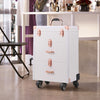 Professional Makeup Case Trolley Large Storage Cosmetic Vanity Trolley on Wheels