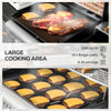 2-in-1 Gas BBQ and Plancha Grill with Side Burner, 12 kW Propane Gas Barbecue