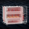 Automatic Digital Eggs Incubator Chicken Poultry Hatcher Temperature Control