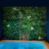 Artificial Living Green Wall Panel 100 x 100cm Plant Flower Foliage Hedge