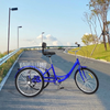 24 Inch Adult Trike Tricycle Bike 7-Speed 3 Wheels Cruiser Bicycle with Basket