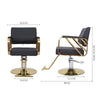 Barber Chair Beauty Salon Hair Styling Hairdressing Hairdresser Makeup Chair NEW