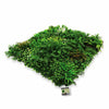 Artificial Living Wall Spring Hedge Plant Panel In / Outdoor UV Stable 100x100cm