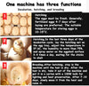 Automatic Digital Eggs Incubator Chicken Poultry Hatcher Temperature ControlSALE