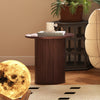 40CM/60CM Coffee Table Round Wood Side Table Sets With Hidden Storage Walnut
