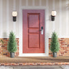 Artificial Cypress Trees with PE Leaves for Indoor Outdoor Set of 2