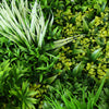 Artificial Living Green Wall Panel 100 x 100cm Plant Flower Foliage Hedge