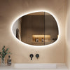 Bathroom Mirror with LED Lights Touch Dimmable Demister Irregular Wall Mounted