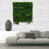 Artificial Living Green Wall Panel 100 x 100cm Plant Flower Foliage Hedge