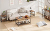 2-Tier Coffee Table End Table Living Room Center Table with Mesh Storage Shelf