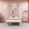 2-in-1 Sofa Bed Single Size Daybed Single Platform Bed w/ Arms & Back