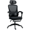 Mesh Ergonomic Office Chair with Lumbar Support, Headrest, Black