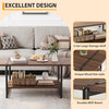 Metal Frame Center Table 2-Tier Farmhouse 41'' Large Coffee Table with Storage
