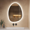 Illuminated Bathroom Mirror with LED Lights 3 colors Dimmable Demister Irregular