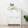 2 Drawer Shoe Cabinet Narrow Shoe Cupboard with Flip Doors, White