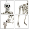 165cm Halloween Skeleton Life Size Prop Poseable Human Giant Bones Decor Model