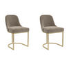 Set of 2 Mink Velvet Dining Chairs with Gold Legs - Callie CAL005