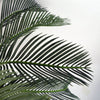 Palm Tree Artificial Cycas 80cm Realistic Leaf Design