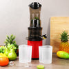 Cold Press Slow Juicer Commercial Juicer Machine Cold Press for Vegetable Fruit