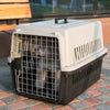 Large Portable Dog/ Cat Carrier Box Puppy Pet Transporter Cage Vet Travel Crate