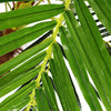 180cm 6ft Large Artificial Palm Tree Indoor Outdoor Fake Green Plant Home Office