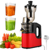 Cold Press Slow Juicer Commercial Juicer Machine Cold Press for Vegetable Fruit