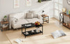 2-Tier Coffee Table End Table Living Room Center Table with Mesh Storage Shelf