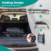 Lounge Sleeper Bed w/6-Position Adjustable Backrest