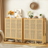 XXL Rattan Shoe Cabinet Elevated 5-Tier Shoe Rack Entrance Closet Dustproof Door