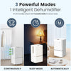 14L Dehumidifier For Mould Moisture Extraction Quiet 36dB Home Clothes Drying