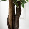 160cm/5.2FT Artificial Ficus Tree Fake Plant in Pot Indoor