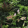 Artificial Green Living Wall Hedge Plant Panels Combo of 3x 1mx50cm - FLORENCE