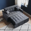 Living Room Sofa Bed Pull Out 2 SeaterConvertible Sleeper 2 with Cushions Grey