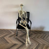 Halloween Poseable Skeleton Full Life Size Human Skeleton Decoration Prop