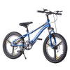 Kids Bike 20 inch Blue Bicycle Boys Cycling Shimano Gears Disc Brake Best Gift