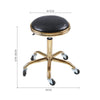 Classic Adjustable Hydraulic Barber Chair Hairdressing Salon 360° Swivel Chair